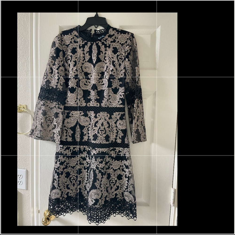 Antonio Melanie lace and net dress